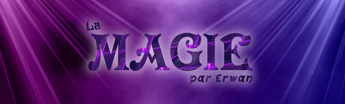 La magie par Erwan logo